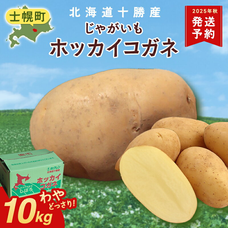 じゃがいも 10kg 北海道 ホッカイコガネ 北海黄金 北海こがね ジャガイモ 芋 ポテト 北海道 十勝産 大容量 自宅用 家族 お弁当 まとめ買い ギフト 贈り物 お取り寄せ 送料無料 十勝 士幌町 10000円