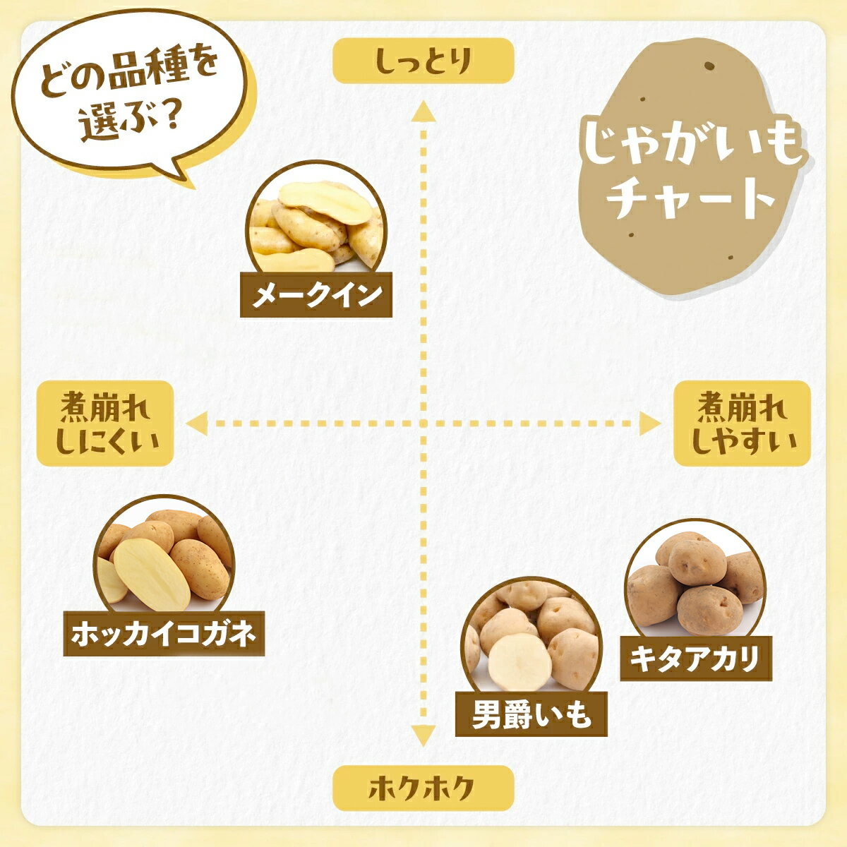 【ふるさと納税】じゃがいも 10kg 北海道 ホッカイコガネ 北海黄金 北海こがね ジャガイモ 芋 ポテト 北海道 十勝産 大容量 自宅用 家族 お弁当 まとめ買い ギフト 贈り物 お取り寄せ 送料無料 十勝 士幌町 10000円 サムネイル2