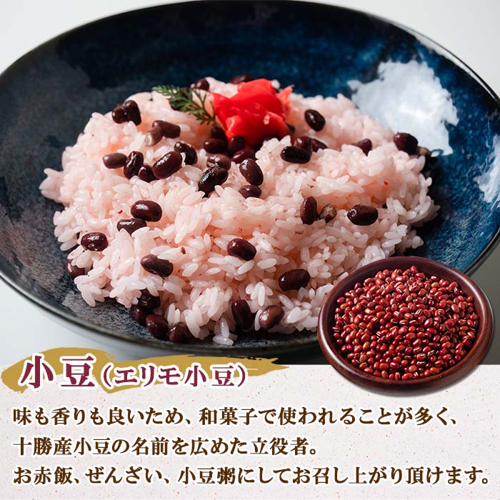 【ふるさと納税】北海道 士幌産 大正金時 エリモ小豆 500g 各4袋 計8袋 4kg 小豆 金時豆 2種 セット 生豆 あずき エリモショウズ アズキ きんときまめ 金時 赤いんげん豆 あづき 豆 お取り寄せ 送料無料 十勝 士幌町 15000円 サムネイル2