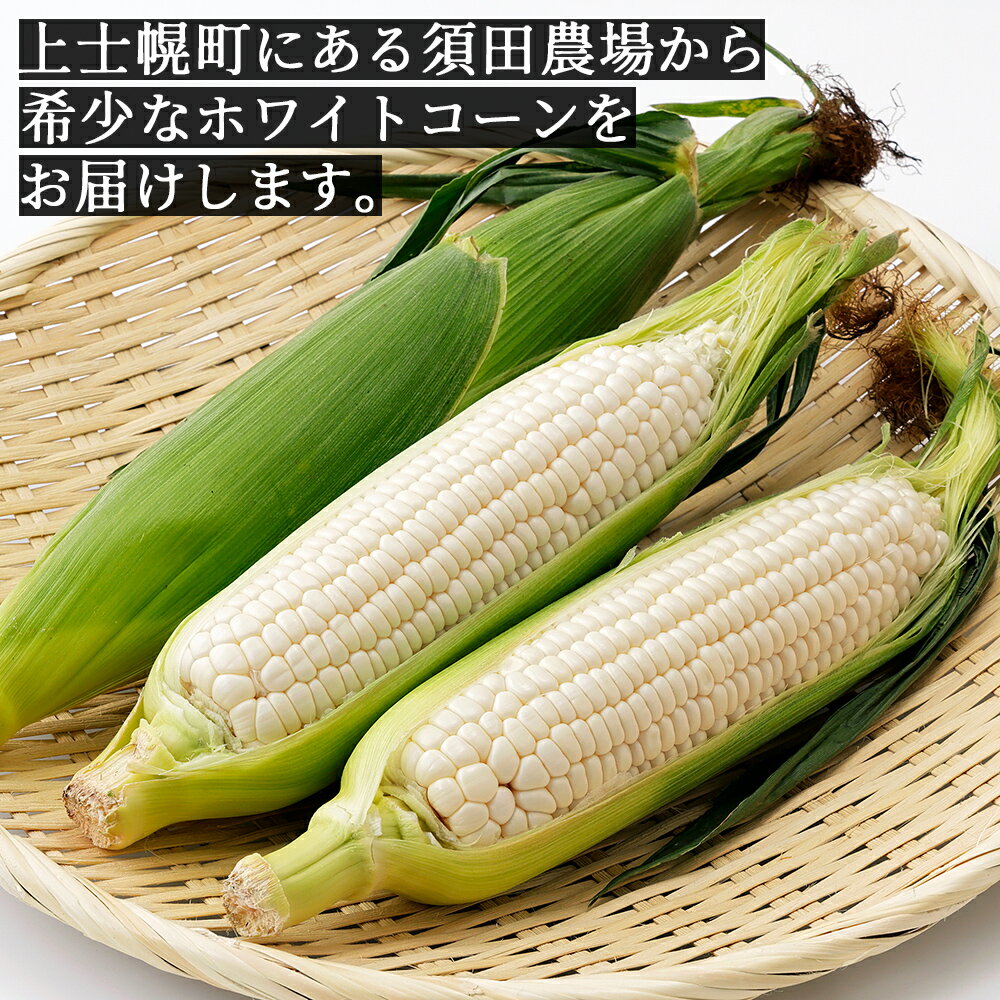 【ふるさと納税】2026年産 先行予約 北海道産 ホワイトコーン 6本 or 10本 レビュー★5 北海道 上士幌町 須田農場 野菜 白い スイートコーン とうもろこし トウモロコシ 産地直送 冷蔵 ◆2026年08月配送予定 レビューキャンペーン対象品 - 画像2