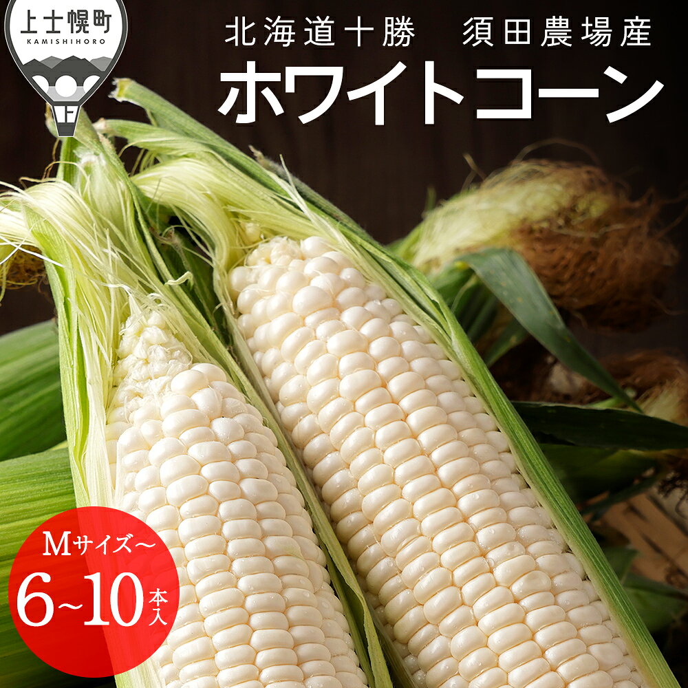 2026年産 先行予約 北海道産 ホワイトコーン 6本 or 10本 レビュー★5 北海道 上士幌町 須田農場 野菜 白い スイートコーン とうもろこし トウモロコシ 産地直送 冷蔵 ◆2026年08月配送予定 レビューキャンペーン対象品