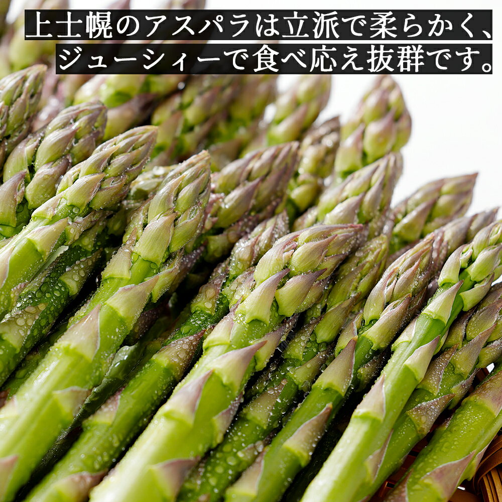 【ふるさと納税】2026年産 先行予約 北海道産 グリーンアスパラガス 正品 計1kg レビュー★4.9以上 北海道 JA上士幌町 野菜 アスパラ 産地直送 冷蔵 ◆2026年5月中旬発送開始予定 レビューキャンペーン対象品 - 画像3