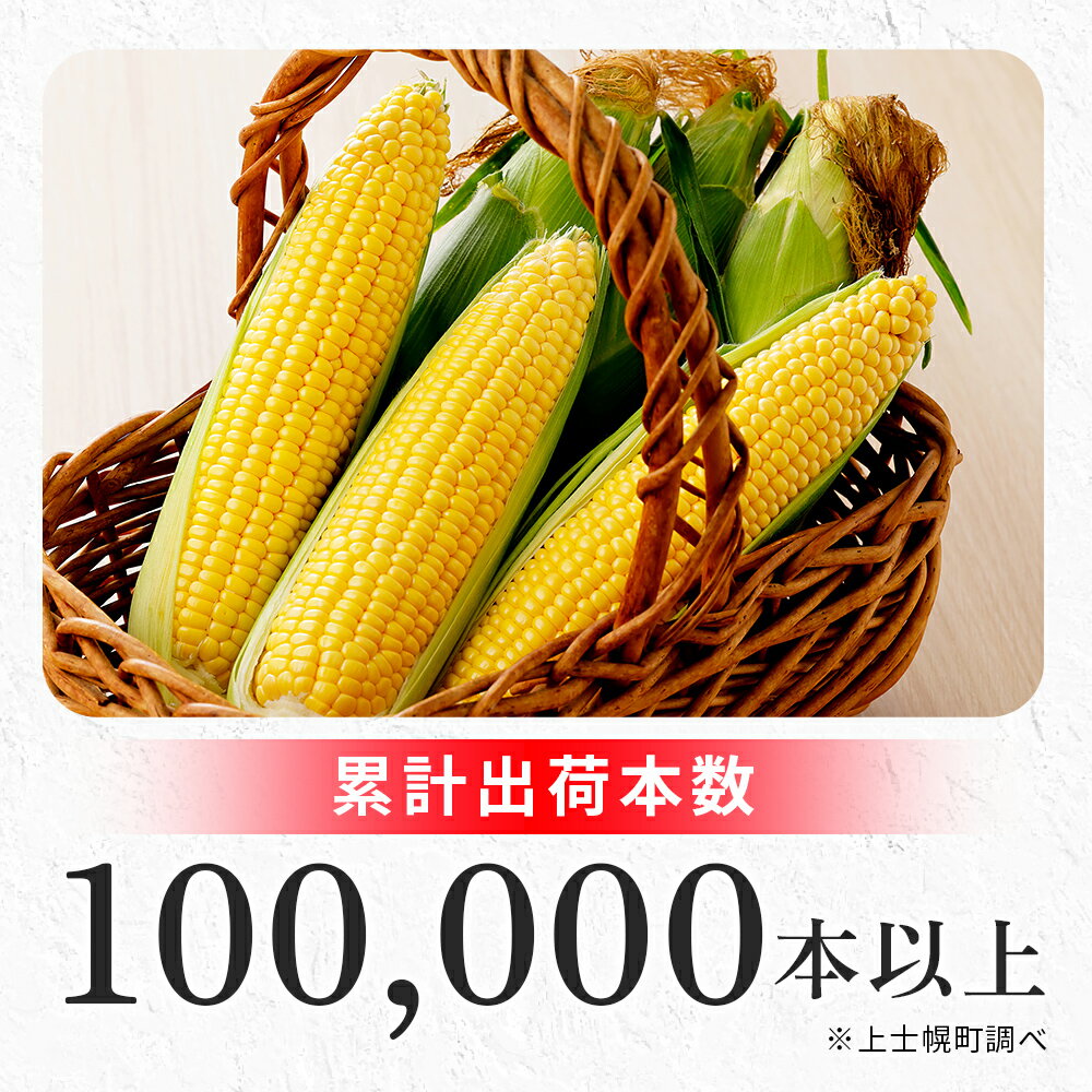 【ふるさと納税】2026年産 先行予約 北海道産 スイートコーン 恵味（めぐみ）スター☆ Lサイズ 計15本 約5kg レビュー★4.7以上 甘い 平均糖度18度 北海道 JA上士幌町 野菜 とうもろこし トウモロコシ 産地直送 冷蔵 ◆2026年8月中旬発送開始予定 レビューキャンペーン対象品 - 画像2