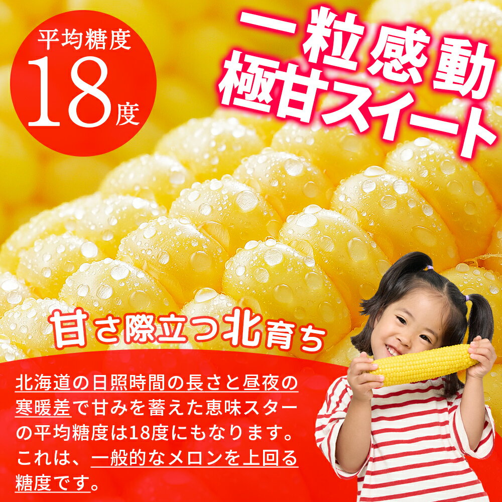 【ふるさと納税】2026年産 先行予約 北海道産 スイートコーン 恵味（めぐみ）スター☆ Lサイズ 計15本 約5kg レビュー★4.7以上 甘い 平均糖度18度 北海道 JA上士幌町 野菜 とうもろこし トウモロコシ 産地直送 冷蔵 ◆2026年8月中旬発送開始予定 レビューキャンペーン対象品 - 画像3