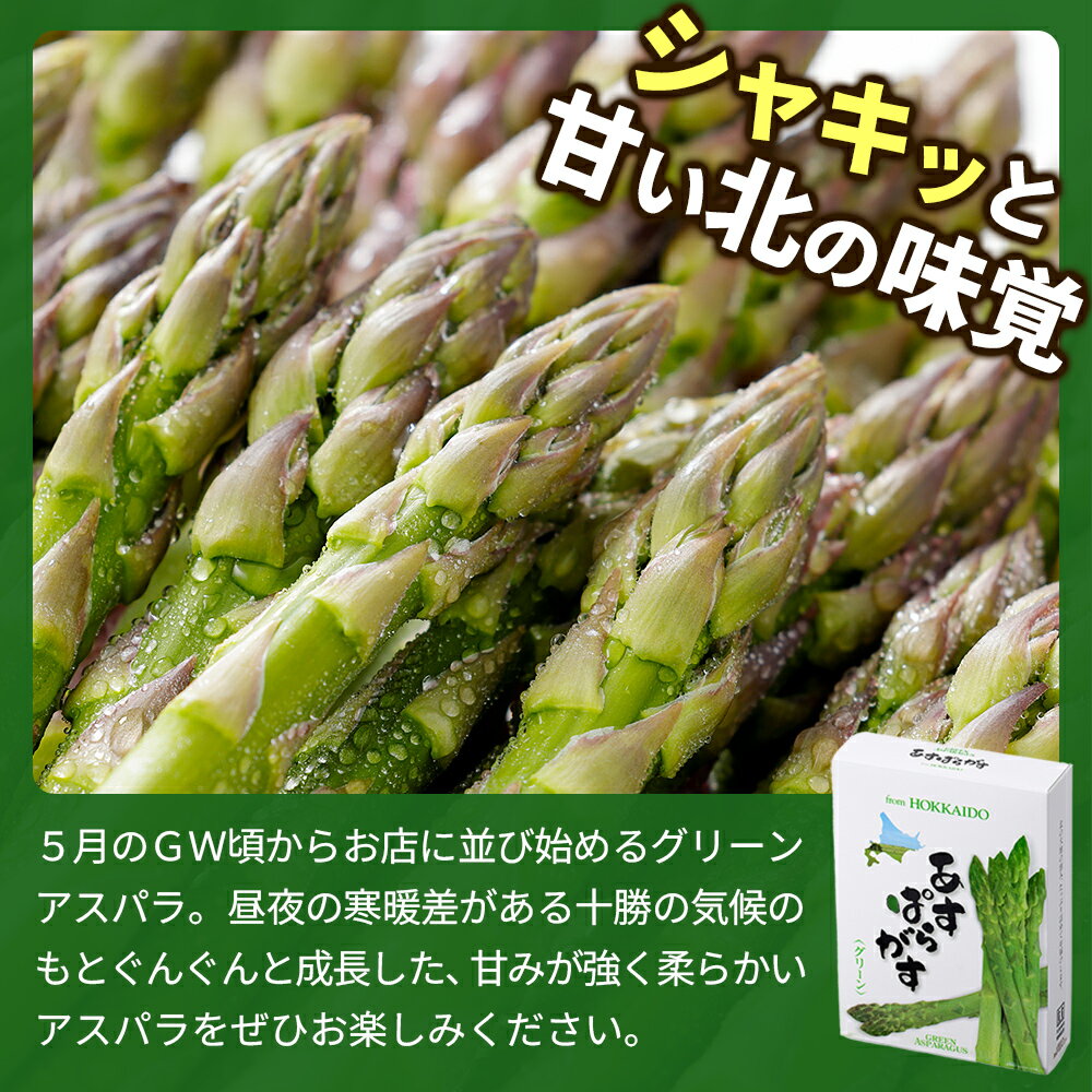 【ふるさと納税】2026年産 先行予約 北海道産 グリーン アスパラガス 1kg 正品 M～2Lサイズ 高評価★4.9 北海道 JA上士幌町 野菜 夏野菜 アスパラ グリーンアスパラガス 産地直送 冷蔵 ◆2026年5月中旬発送開始予定 レビューキャンペーン対象品 - 画像2