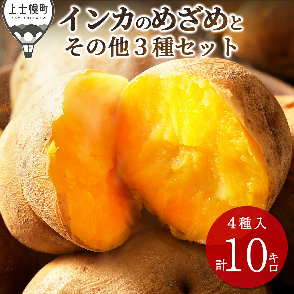 2026年産 先行予約 北海道産 インカのめざめ その他3種 じゃがいも セット 計10kg（2.5kg×4種） 高評価★4.5 北海道 上士幌町 加藤農場 野菜 秋野菜 インカの目覚め ジャガイモ 馬鈴薯 産地直送 ◆2026年11月配送予定 レビューキャンペーン対象品