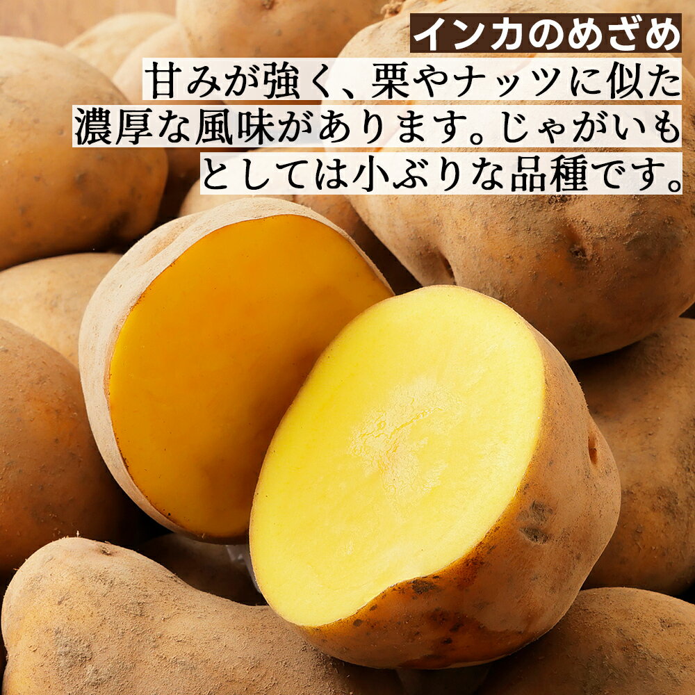 【ふるさと納税】2026年産 先行予約 北海道産 インカのめざめ その他3種 じゃがいも セット 計10kg（2.5kg×4種） 高評価★4.5 北海道 上士幌町 加藤農場 野菜 秋野菜 インカの目覚め ジャガイモ 馬鈴薯 産地直送 ◆2026年11月配送予定 レビューキャンペーン対象品 - 画像2