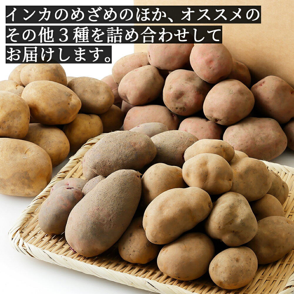 【ふるさと納税】2026年産 先行予約 北海道産 インカのめざめ その他3種 じゃがいも セット 計10kg（2.5kg×4種） 高評価★4.5 北海道 上士幌町 加藤農場 野菜 秋野菜 インカの目覚め ジャガイモ 馬鈴薯 産地直送 ◆2026年11月配送予定 レビューキャンペーン対象品 - 画像3