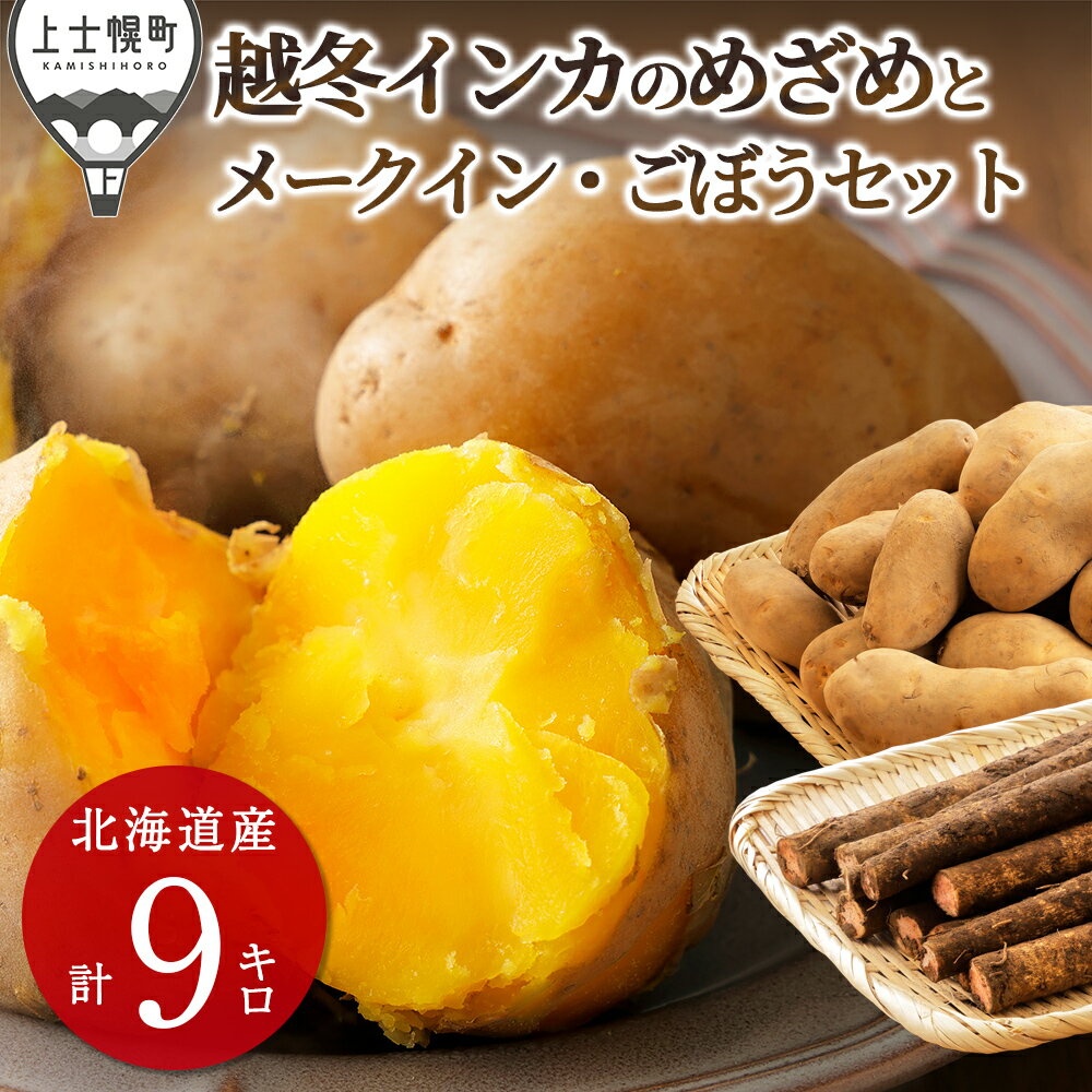 北海道産 越冬 インカのめざめ メークイン ごぼう セット 計9kg 北海道 上士幌町 西原農場 熟成じゃがいも インカの目覚め 馬鈴薯 野菜 詰め合わせ 産地直送 ◆2026年02月配送 ※オンライン申請対応