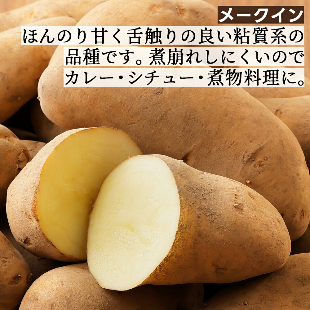 【ふるさと納税】北海道産 越冬 インカのめざめ メークイン ごぼう セット 計9kg 北海道 上士幌町 西原農場 熟成じゃがいも インカの目覚め 馬鈴薯 野菜 詰め合わせ 産地直送 ◆2026年02月配送 ※オンライン申請対応 サムネイル3