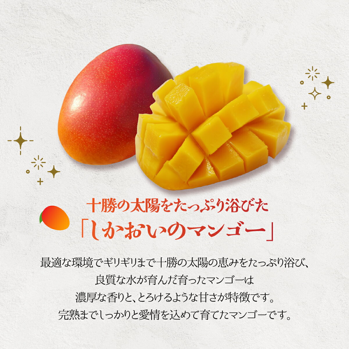 【ふるさと納税】北海道鹿追産　白銀の太陽（糖度11度～）　2L×1玉【 ふるさと納税 人気 おすすめ ランキング マンゴー マンゴーフルーツ 果物 くだもの 果実 フルーツ ハウス栽培マンゴー 北海道 鹿追町 送料無料 】 SKZ011 サムネイル3