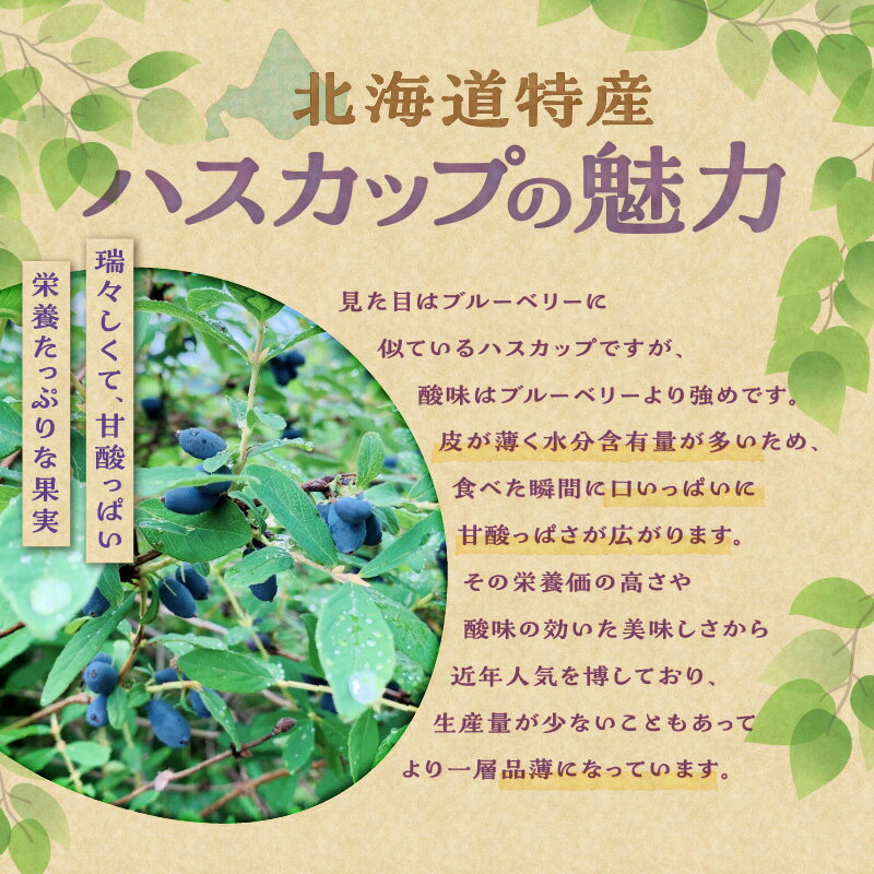 【ふるさと納税】高評価★5.0 冷凍ハスカップ 900g【 2026年発送先行予約！ 】とかちしみずフルーツガーデン 北海道産 ハスカップ 産地直送 果物 フルーツ 冷凍 ハスカップ 冷凍フルーツ お取り寄せ 希少 不老長寿 栄養豊富 フルーツ 栄養豊富 北海道 清水町 送料無料 サムネイル2