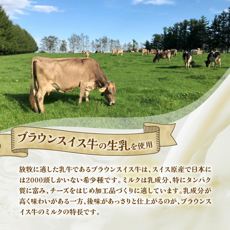 【ふるさと納税】【選べる種類と個数！】ブラウンスイス牛の生乳から作られた希少な 十勝アルプス牧場 アイスセット！プレミアム 濃厚ショコラ バニラ クリームチーズ あずき アイス アイスBOX 北海道アイス 十勝アイス 北海道 清水町 送料無料 - 画像2