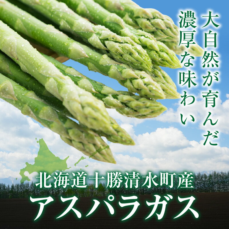 【ふるさと納税】【2026年発送先行予約！】アスパラガス M・L混合 1kg or 2kg お選びください！ アスパラ 野菜 旬 保存 2026年 産直 アヒージョ 産地直送 BBQ 塩焼き 肉巻き お取り寄せ 有機堆肥 野菜 家庭用 北海道産 送料無料 清水町 北海道 - 画像2