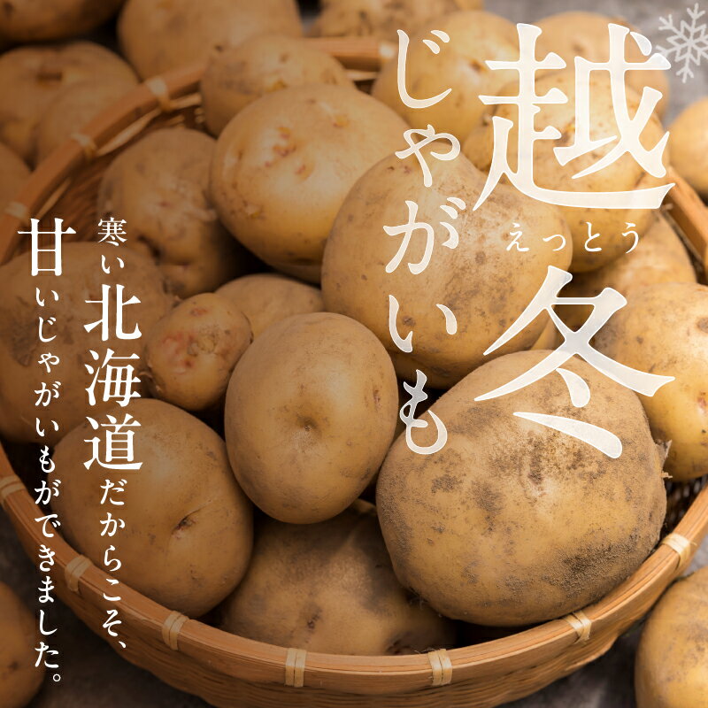 【ふるさと納税】【 選べる内容量！ 】 ホクホク あま～い！ 低温貯蔵！北海道産 越冬じゃがいも はるか 約 5kg 約 10kg じゃがいも いも 芋 はるか 産地直送 越冬 じゃがバター フライドポテト ポテトグラタン 肉じゃが マッシュポテト コロッケ 北海道 清水町 送料無料 - 画像3