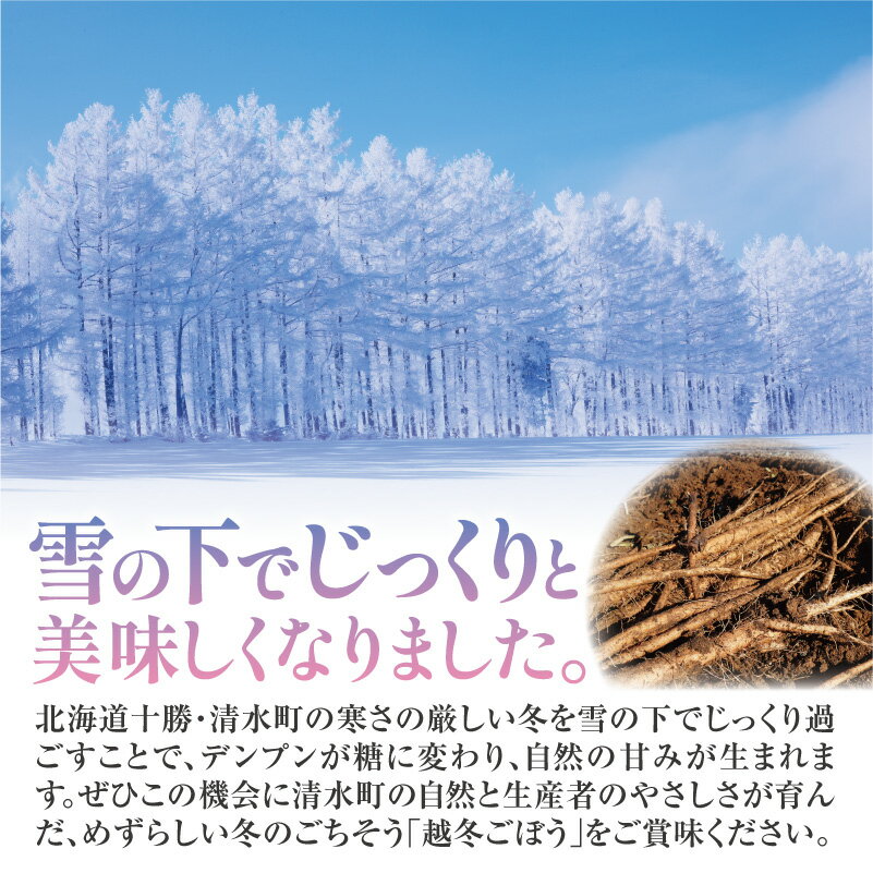 【ふるさと納税】【先行予約 2026年4月発送】北海道十勝清水町産 春掘り 越冬ごぼう 選べる 5kg 10kg 雪の下で甘み凝縮 手作業収穫 食物繊維豊富 新鮮野菜 学校給食採用 きんぴら 春の味覚 きんぴらごぼう 煮物 素揚げ 春野菜 旬の野菜 季節限定 北海道 清水町 送料無料 - 画像2