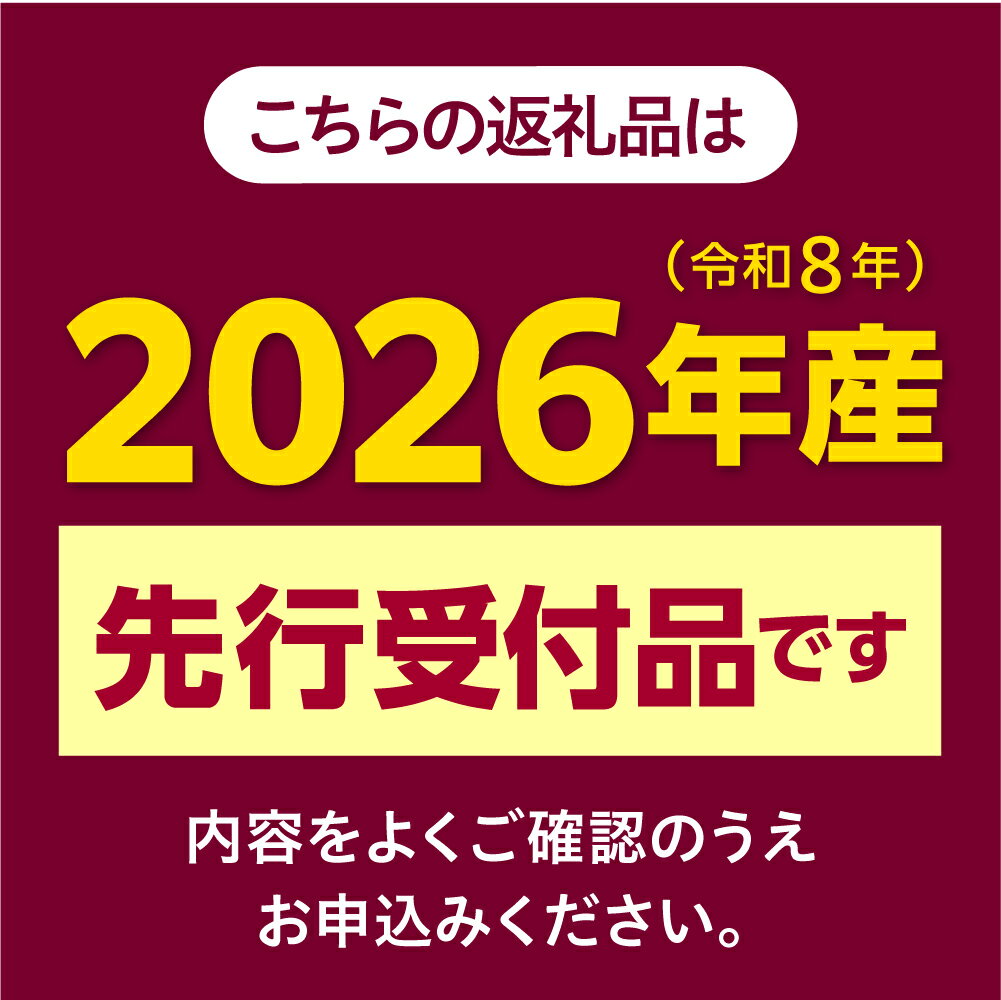 【ふるさと納税】【先行予約】 とうもろこし 味来 (選べる : 10本 / 15本 / 20本 / 30本 )【2026年7月下旬～8月上旬頃配送】 北海道産 朝獲れ スイートコーン ハニーバンダム みらい とうきび 生 野菜 黄色 産地直送 送料無料 期間限定 数量限定 贈答 北海道 十勝 芽室町 - 画像2