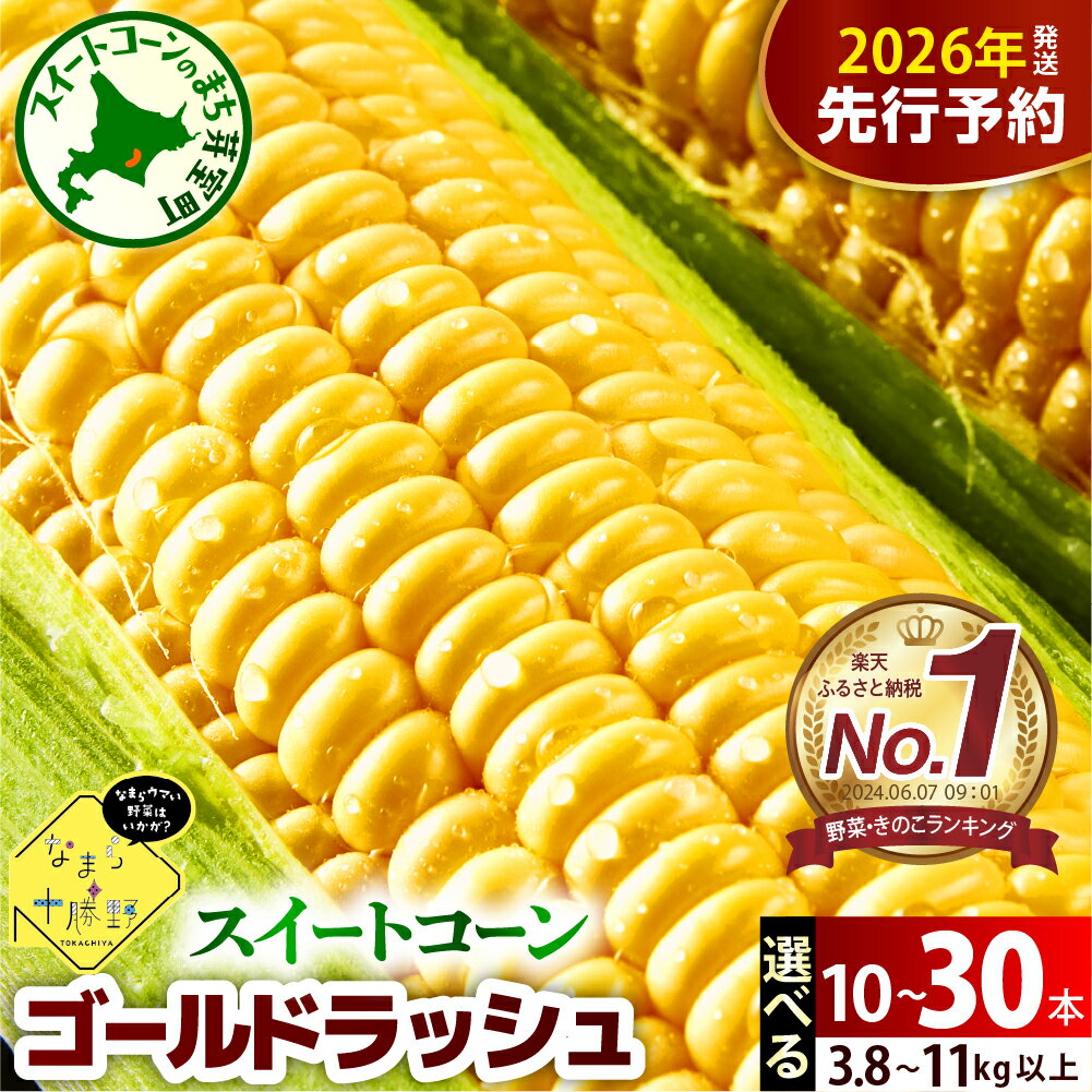 【先行予約】 レビュー 高評価 ★ 楽天 ランキング 1位 獲得 2026年産 とうもろこし 北海道産 スイートコーン ゴールドラッシュ ( 選べる 10本 20本 30本 ) 【2026年7月下旬～8月15日頃配送】 コーン 生 野菜 BBQ 送料無料 お取り寄せ 北海道 十勝 芽室町