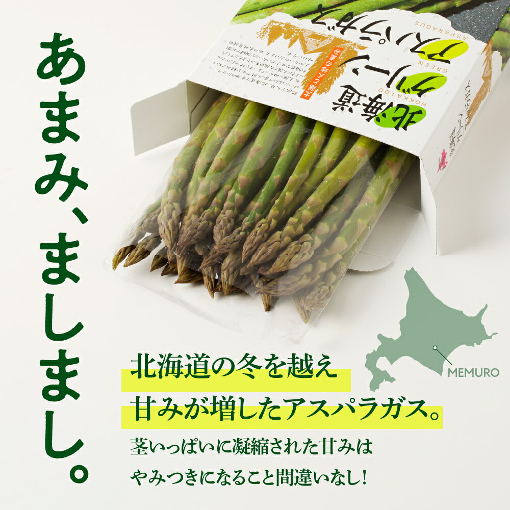 【ふるさと納税】【先行予約】【2026年出荷分】 北海道産 【 アスパラガス 1kg 】 グリーン アスパラ グリーンアスパラ 春 旬 季節 野菜 青果 1キロ 緑 green お取り寄せ おうちグルメ ギフト 贈り物 送料無料 冷蔵 なまら十勝野 北海道 とかち 芽室町 サムネイル3