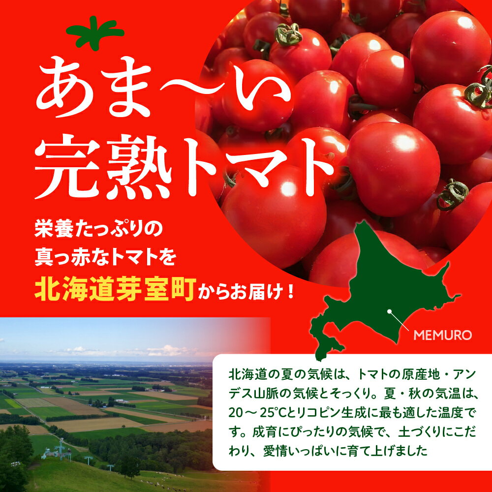 【ふるさと納税】【先行受付】【2026年8月上旬より順次発送】なまら十勝野の旬の完熟トマトを3~4品種詰め合わせた 食べ比べセット 完熟 トマト 3〜4品種 200g×6パック 野菜 期間限定 北海道産 カラートマト おまかせ アイコ ミックス もぎたて 北海道 十勝 芽室町 - 画像2