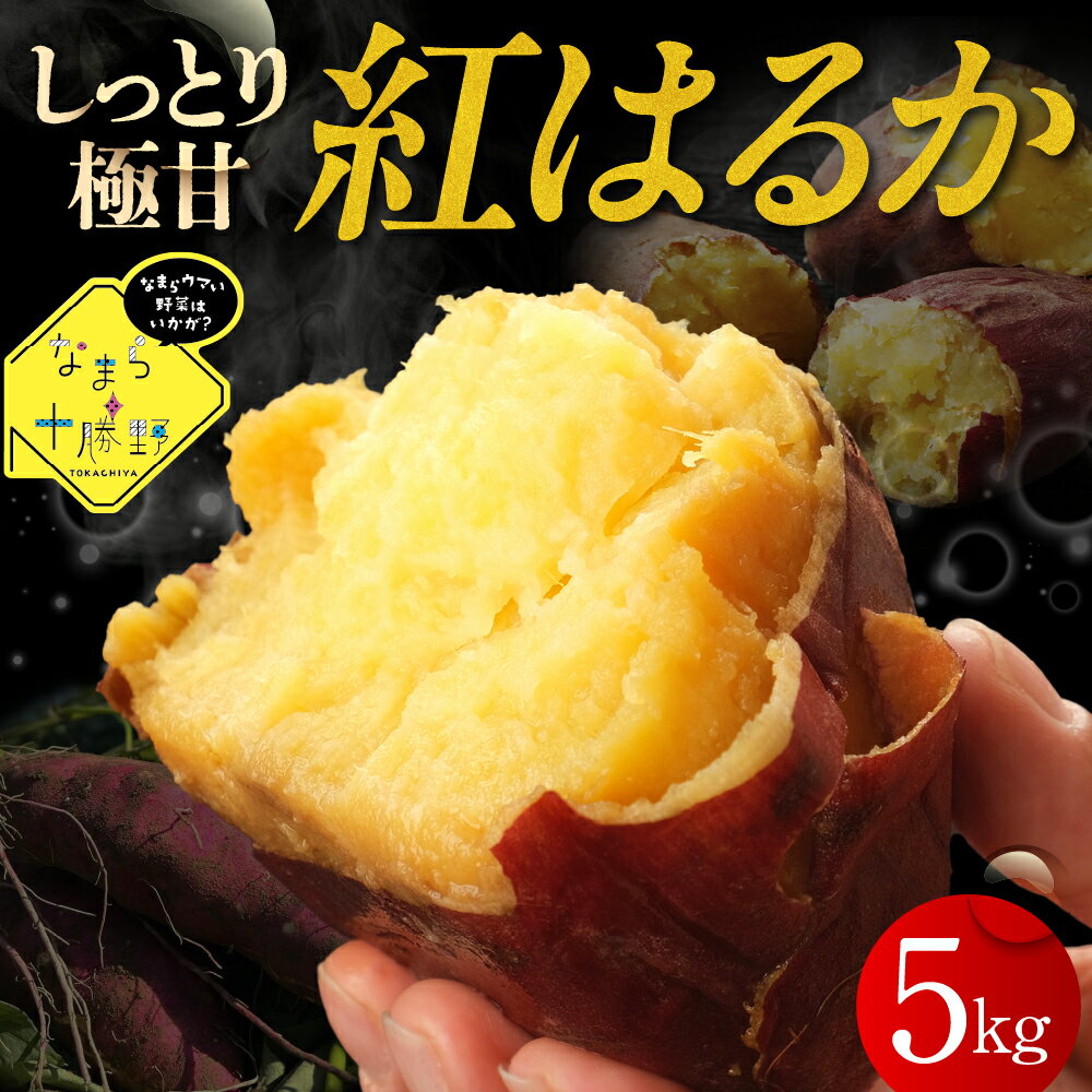 なまら十勝野 芽室町産 さつまいも【紅はるか】5kg 国産 北海道産 さつま芋 野菜 送料無料 北海道 十勝 芽室町【12月以降発送】