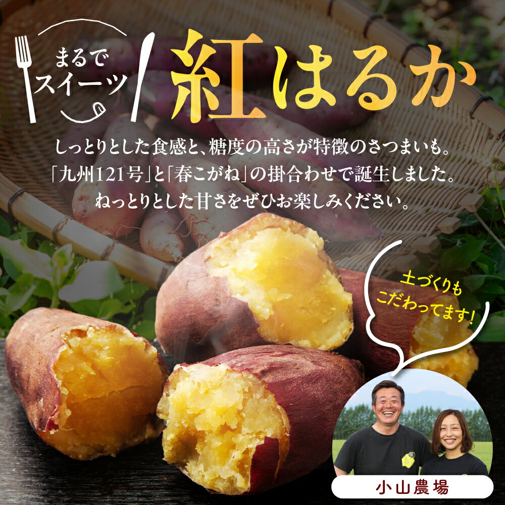 【ふるさと納税】なまら十勝野 芽室町産 さつまいも【紅はるか】5kg 国産 北海道産 さつま芋 野菜 送料無料 北海道 十勝 芽室町【12月以降発送】 - 画像2