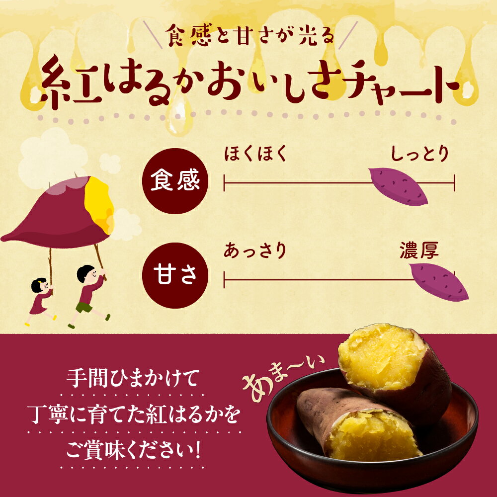 【ふるさと納税】なまら十勝野 芽室町産 さつまいも【紅はるか】5kg 国産 北海道産 さつま芋 野菜 送料無料 北海道 十勝 芽室町【12月以降発送】 - 画像3