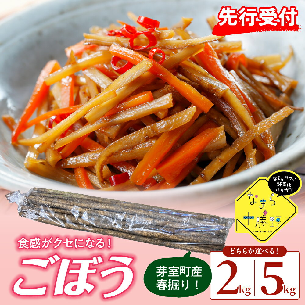 【先行予約】【2026年5月中旬より順次発送】なまら十勝野 芽室町産 春掘り ごぼう【柳川理想】Mサイズ 選べる 2kg / 5kg 産地直送 野菜 根菜 ゴボウ きんぴら 炊き込みご飯 お取り寄せ 送料無料 北海道 十勝 芽室町