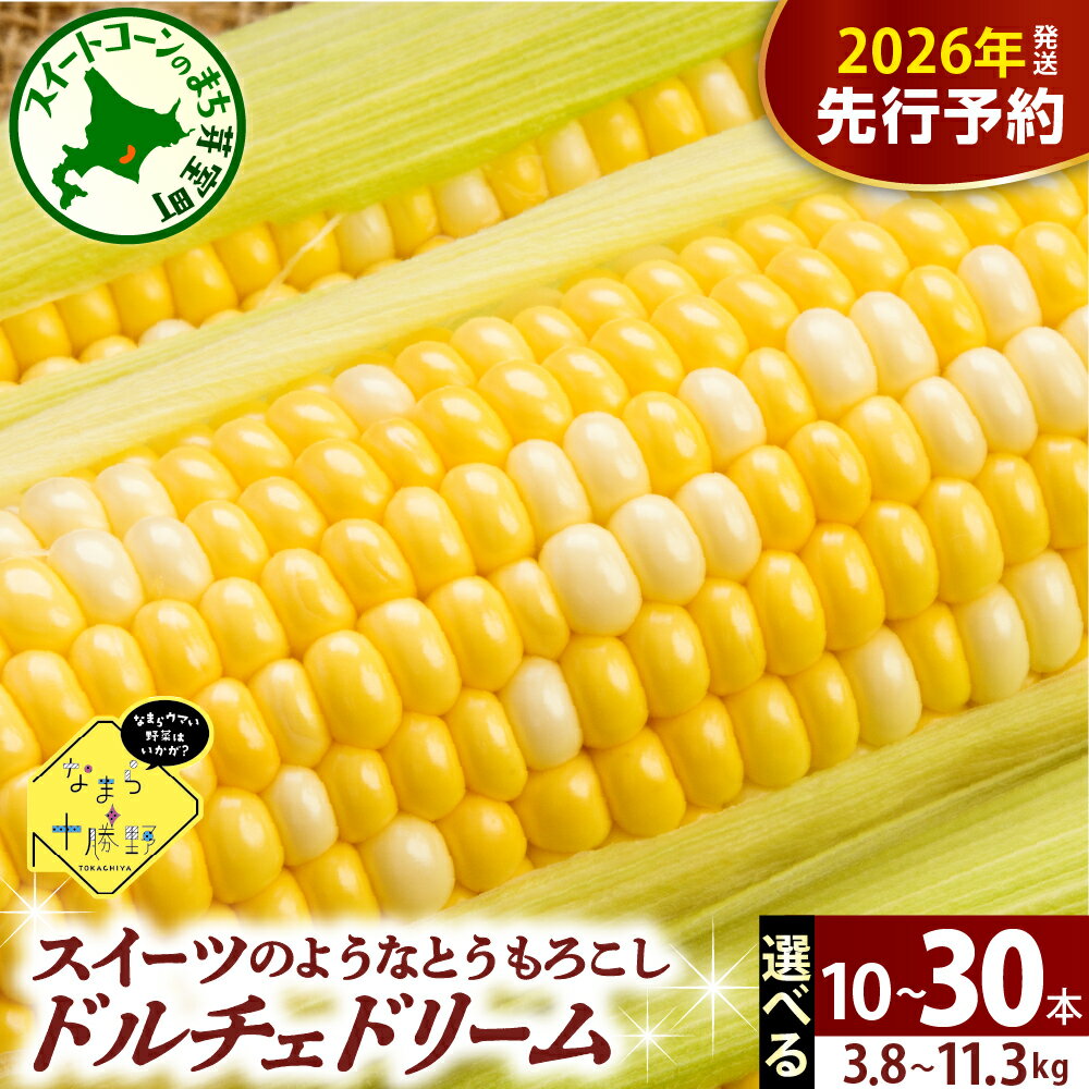 【先行予約】 2026年産 とうもろこし なまら十勝野 ドルチェドリーム ( 選べる 10本 20本 30本 )【2026年7月下旬～8月15日頃配送】スイートコーン バイカラー コーン とうきび 生 野菜 朝採り 産地直送 お取り寄せ 冷蔵便 送料無料 北海道 十勝 芽室町