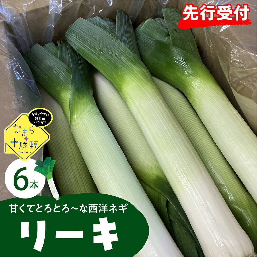 【先行受付】【2026年11月より発送】なまら十勝野 の 鳥本農場 リーキ 6本野菜 やさい ネギ ねぎ 葱 西洋ネギ ポロネギ 送料無料 北海道 十勝 芽室町