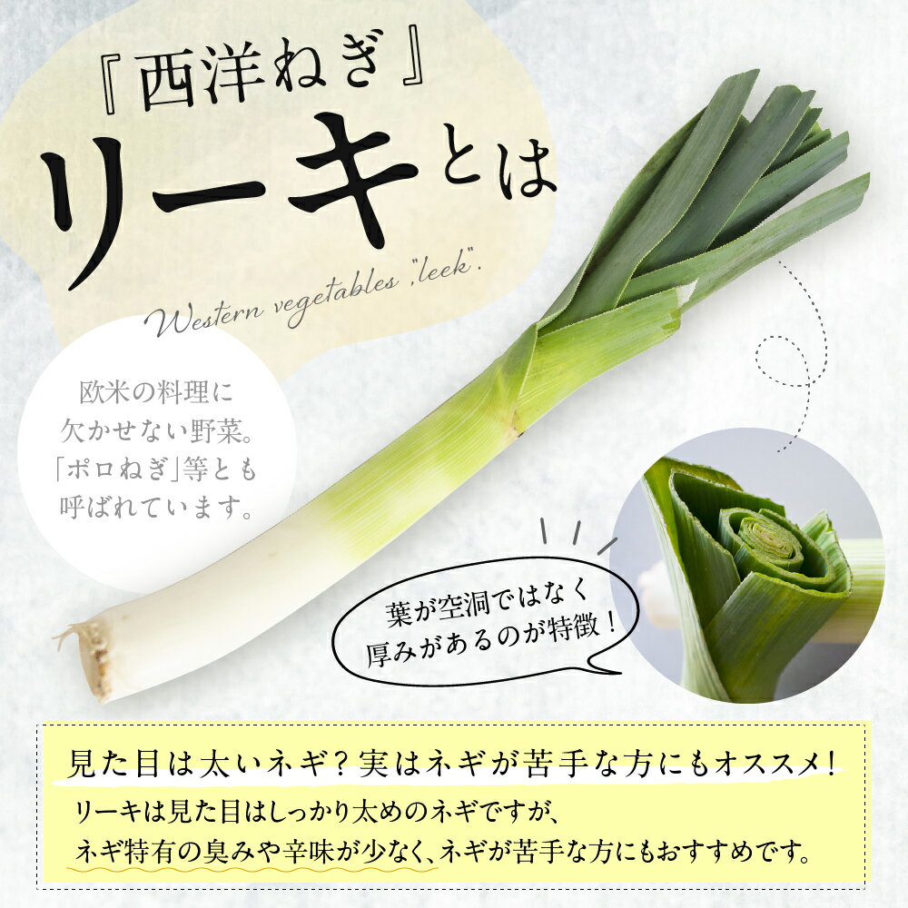【ふるさと納税】【先行受付】【2026年11月より発送】なまら十勝野 の 鳥本農場 リーキ 6本野菜 やさい ネギ ねぎ 葱 西洋ネギ ポロネギ 送料無料 北海道 十勝 芽室町 - 画像2