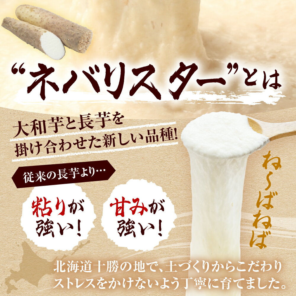 【ふるさと納税】【先行受付】【2026年12月中旬より順次発送】なまら十勝野 の ながいも ネバリスター 5kg長芋 いも 野菜 やさい 根菜 送料無料 北海道 十勝 芽室町 - 画像3