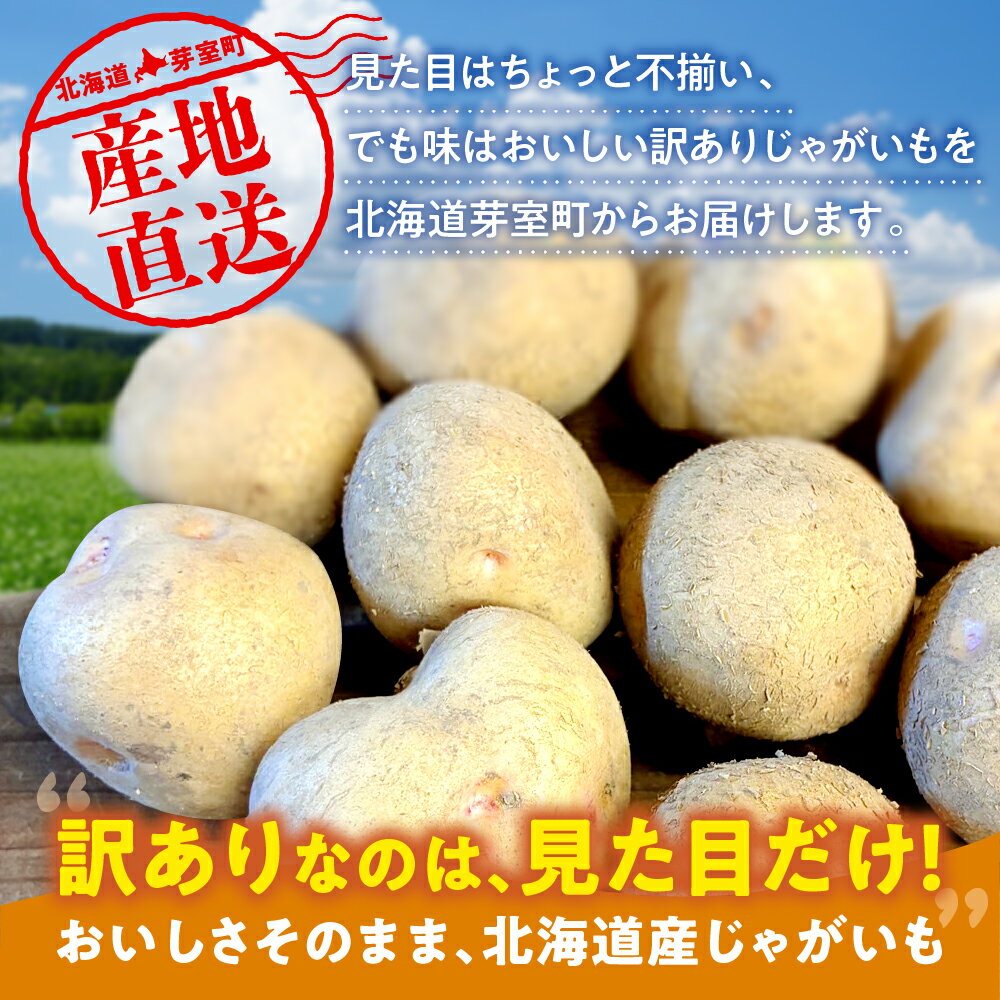 【ふるさと納税】 【訳あり】 農家応援 じゃがいも ( 越冬 ) 5kg ( 選べる 品種 : キタアカリ / はるか / メークイン / 北海こがね )【2月上旬～4月下旬頃配送】 / 芋 おいも ジャガイモ 肉じゃが シチュー カレー ポテトサラダ 炒め物 産地直送 北海道 十勝 芽室町 - 画像2