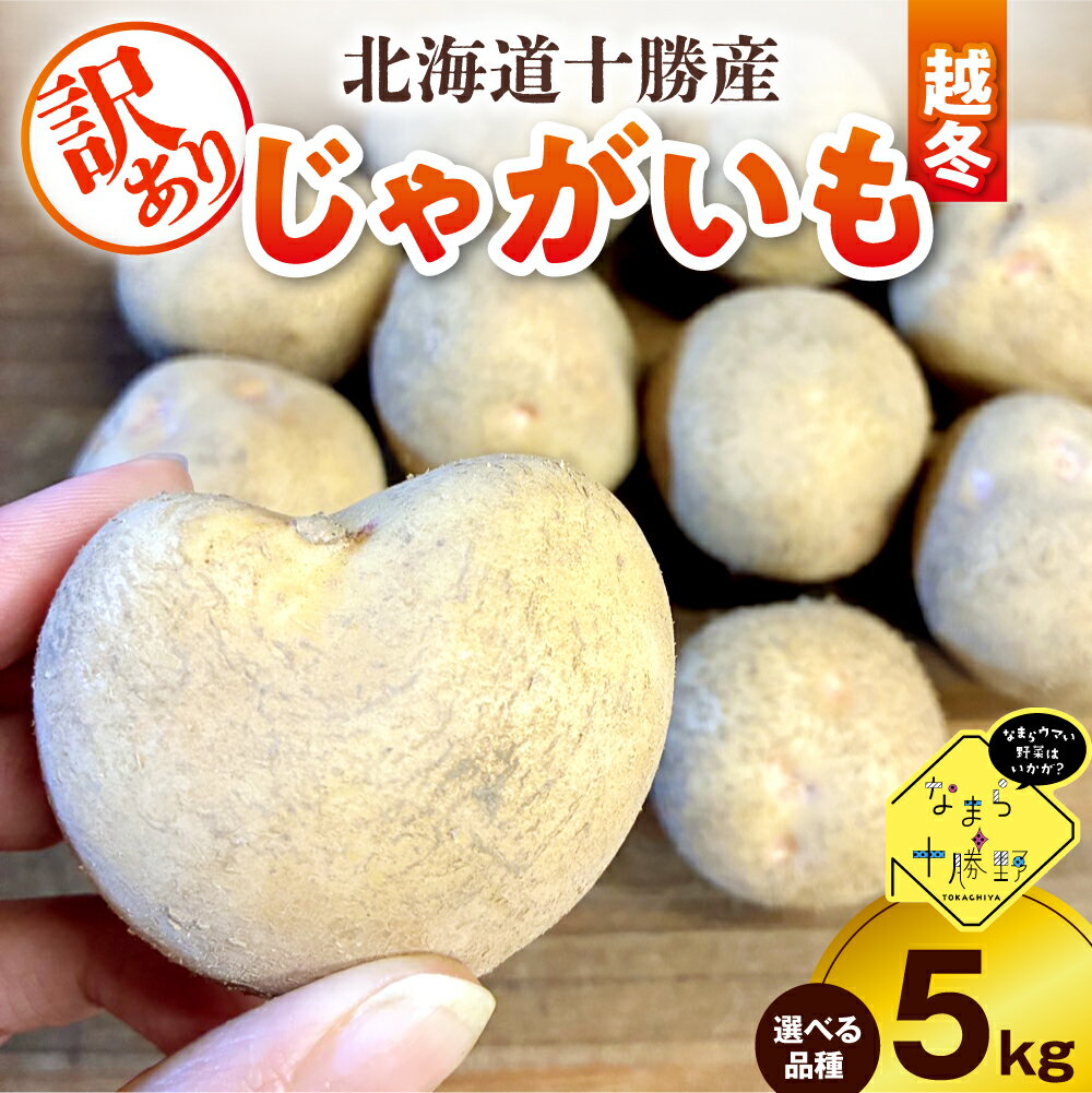 【訳あり】 農家応援 じゃがいも ( 越冬 ) 5kg ( 選べる 品種 : キタアカリ / はるか / メークイン / 北海こがね )【2月上旬～4月下旬頃配送】 / 芋 おいも ジャガイモ 肉じゃが シチュー カレー ポテトサラダ 炒め物 産地直送 北海道 十勝 芽室町