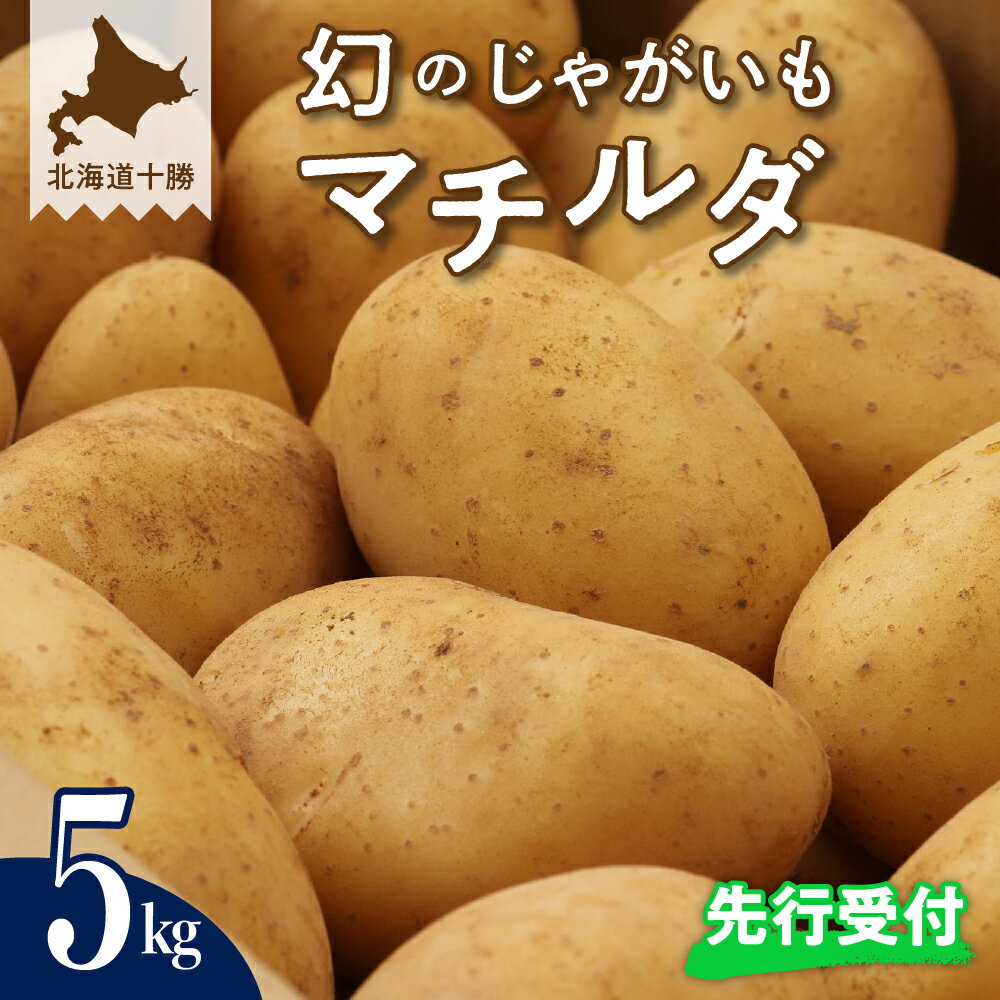 【 先行予約 】幻の じゃがいも マチルダ 5kg 【2026年9月下旬より配送予定】先行受付 キャンプ 飯 BBQ アウトドア ジャガイモ 越冬 ポテト 濃厚 芋 イモ いも 野菜 カレー シチュー ポテトサラダ フライドポテト グラタン 北海道 十勝 芽室町
