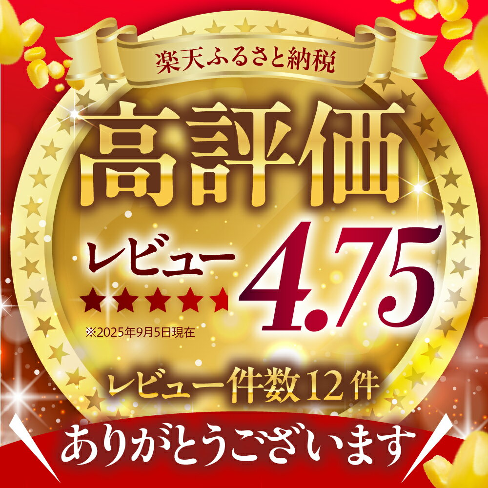 【ふるさと納税】【先行予約】 2026年産 とうもろこし 北海道産 スイートコーン 10本 ホワイト種 【7月下旬～8月中旬にかけて順次発送】 人気 キャンプ飯 BBQ とうきび コーン 甘い 野菜 白 送料無料 お取り寄せ 贈り物 ギフト 贈答 期間限定 北海道 十勝 芽室町 サムネイル2
