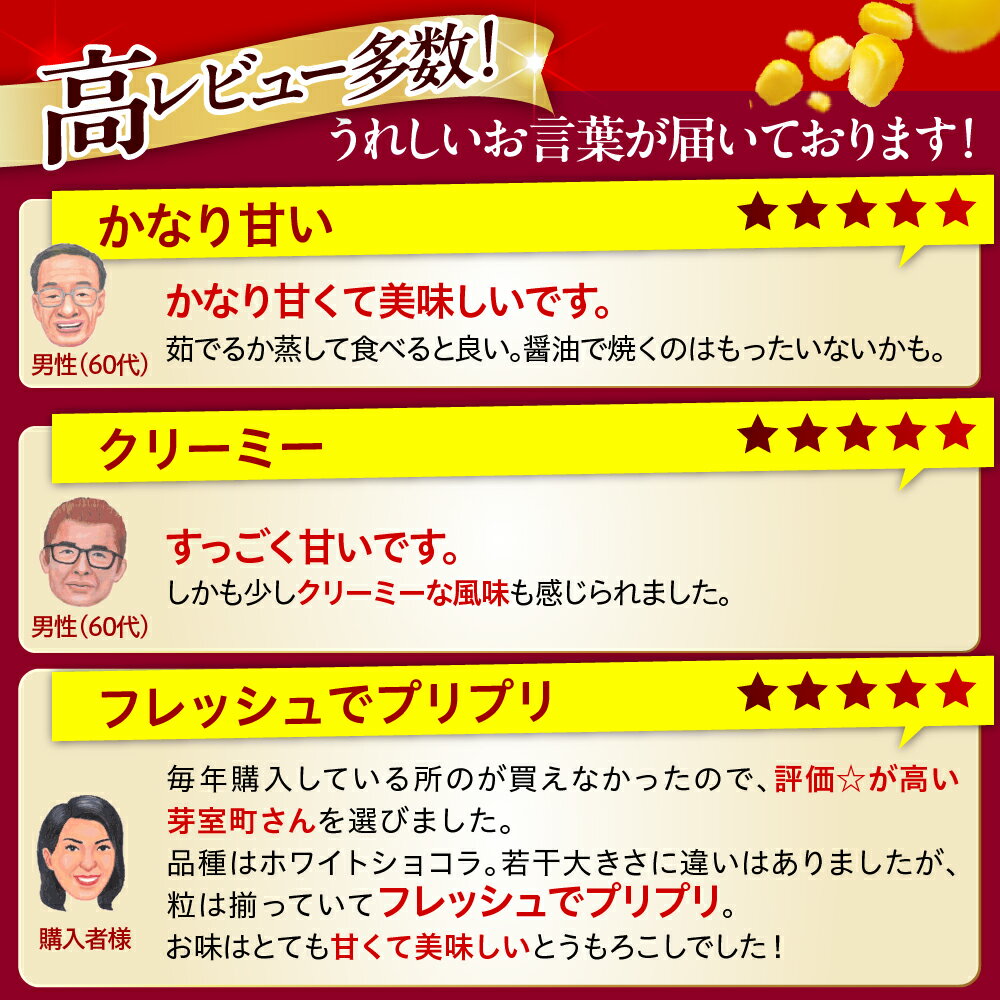 【ふるさと納税】【先行予約】 2026年産 とうもろこし 北海道産 スイートコーン 10本 ホワイト種 【7月下旬～8月中旬にかけて順次発送】 人気 キャンプ飯 BBQ とうきび コーン 甘い 野菜 白 送料無料 お取り寄せ 贈り物 ギフト 贈答 期間限定 北海道 十勝 芽室町 サムネイル3