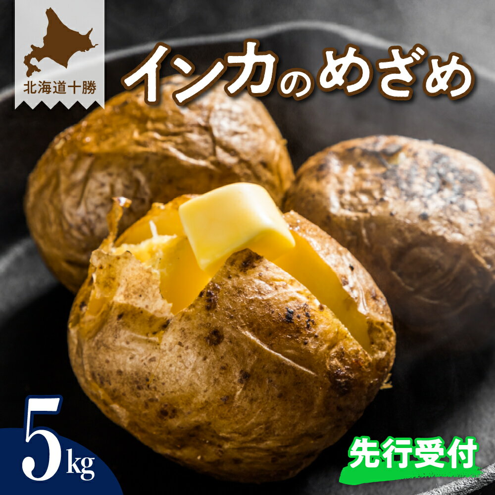 【 先行予約 】じゃがいも 貴重品種 インカのめざめ 5kg【2026年9月下旬より配送予定】先行受付 芋 ジャガイモ インカ 産地直送 数量限定 ポテト 甘い ねっとり 濃厚 幻 芋 お芋 イモ いも 新鮮 北海道 十勝 芽室町