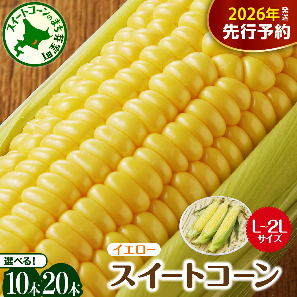 【先行予約】 2026年産 とうもろこし 北海道産 スイートコーン イエロー種 10本 【7月下旬～8月中旬にかけて順次発送】 / コーン とうきび キャンプ飯 BBQ 生 野菜 産地直送 お取り寄せ 冷蔵便 送料無料 お取り寄せ 北海道 十勝 芽室町