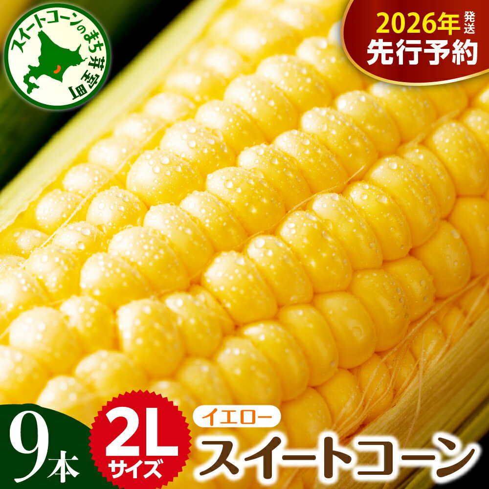 【先行予約】 2026年産 とうもろこし 2L 9本 入り 【7月下旬～8月中旬にかけて順次発送】北海道産 スイートコーン キャンプ飯 BBQ アウトドア ソロキャン バーベキュー 焼肉 とうきび コーン 甘い 生 野菜 朝採り 産地直送 北海道 十勝 芽室町 めむろ