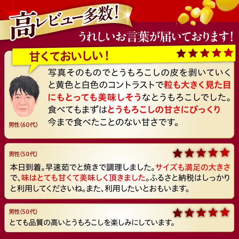【ふるさと納税】【先行予約】 2026年産 とうもろこし 北海道産 バイカラー ドルチェドリーム 10本 【7月下旬～8月中旬にかけて順次発送】 / コーン とうきび キャンプ飯 BBQ 生 野菜 朝採り 産地直送 冷蔵 送料無料 北海道 十勝 芽室町 - 画像3
