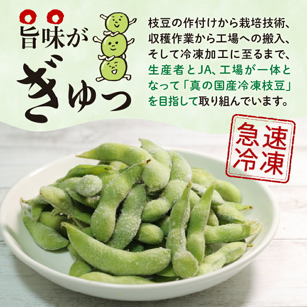 【ふるさと納税】レビュー ★4.92 高評価 北海道産 枝豆 1袋 300g 選べる 内容量 3袋 10袋 / お届け回数 1回 3回 4回 単品 定期便 えだまめ 冷凍 ビール おつまみ 送料無料 特産品 お手軽 お酒 おかず 弁当 時短 ずんだ 晩酌 お取り寄せ 北海道 十勝 芽室町 サムネイル3