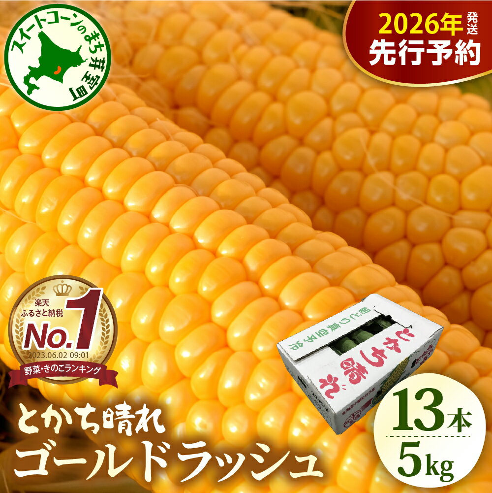 【先行予約】 楽天 ランキング 連続 1位 獲得 2026年産 とうもろこし 北海道産 スイートコーン ゴールドラッシュ 13本 2L 5kg 【2026年7月下旬～8月10日頃配送】 甘い 人気 朝採り 産地直送 送料無料 期間限定 数量限定 北海道 十勝 芽室町 めむろ