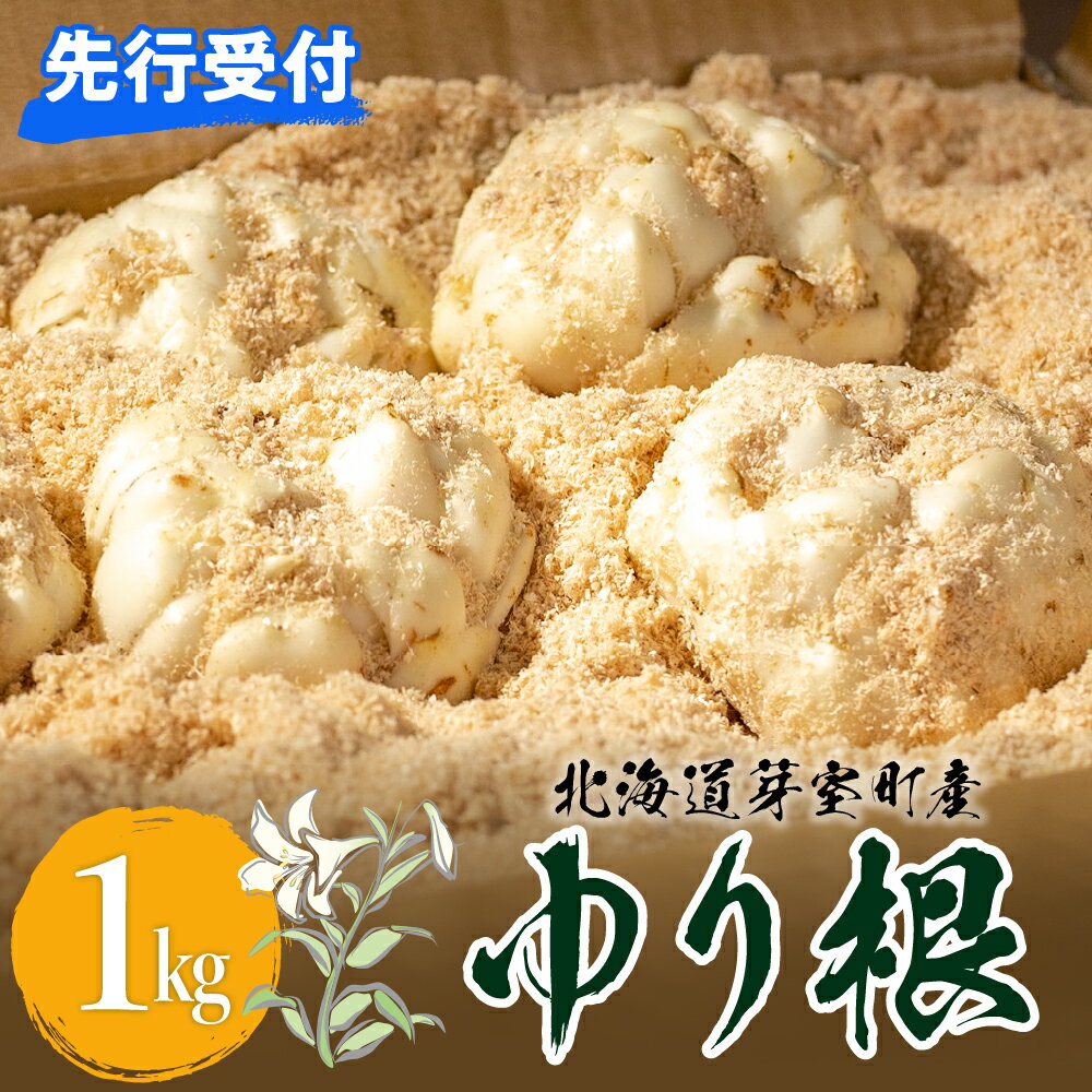 【先行予約】【2026年12月中旬より発送】ゆりね 1kg ( L サイズ 9玉入り ) 野菜 ゆり根 お正月 先行予約 お取り寄せ 産地直送 送料無料 北海道 十勝 芽室町