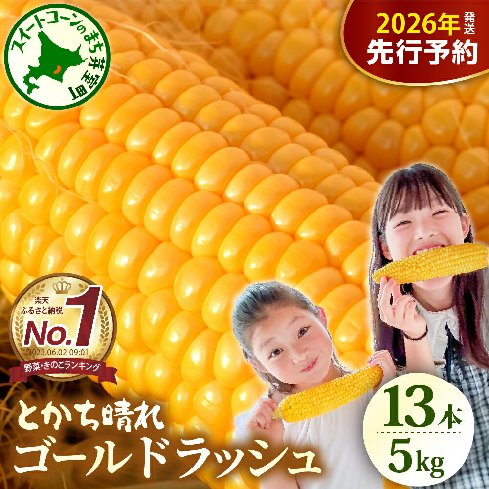 【先行予約】楽天 ランキング 連続 1位 獲得 2026年産 とうもろこし 北海道産 スイートコーン ゴールドラッシュ 13本 2L 5kg 【2026年7月下旬～8月10日頃配送】 甘い 人気 朝採り 産地直送 送料無料 北海道 十勝 芽室町 - 北海道 芽室町のふるさと納税返礼品（ランキング2位）