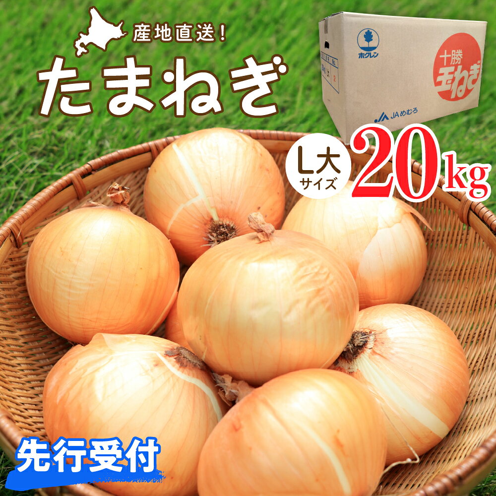 2026年産 先行受付 たまねぎ L 大 サイズ 20kg 先行予約 【10月上旬より発送】 玉ねぎ 期間限定 玉葱 タマネギ 野菜 長期保存 北海道産 オニオン オニオンスープ カレー 焼肉 産地直送 送料無料 お取り寄せグルメ 北海道 十勝 芽室町