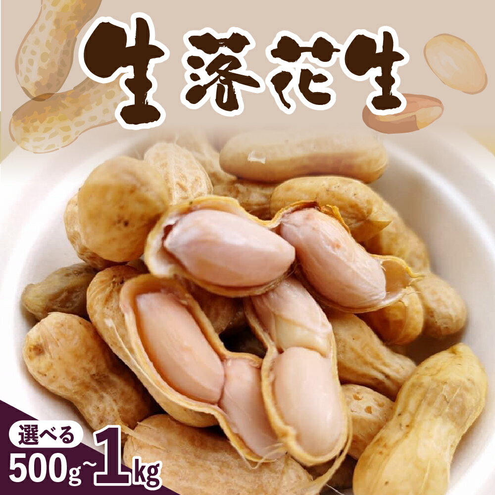 【先行予約】生落花生（洗い）500g 1kg 内容量が選べる 落花生豆 ピーナッツ おつまみ おやつ 冷蔵便 送料無料 北海道 十勝 芽室町
