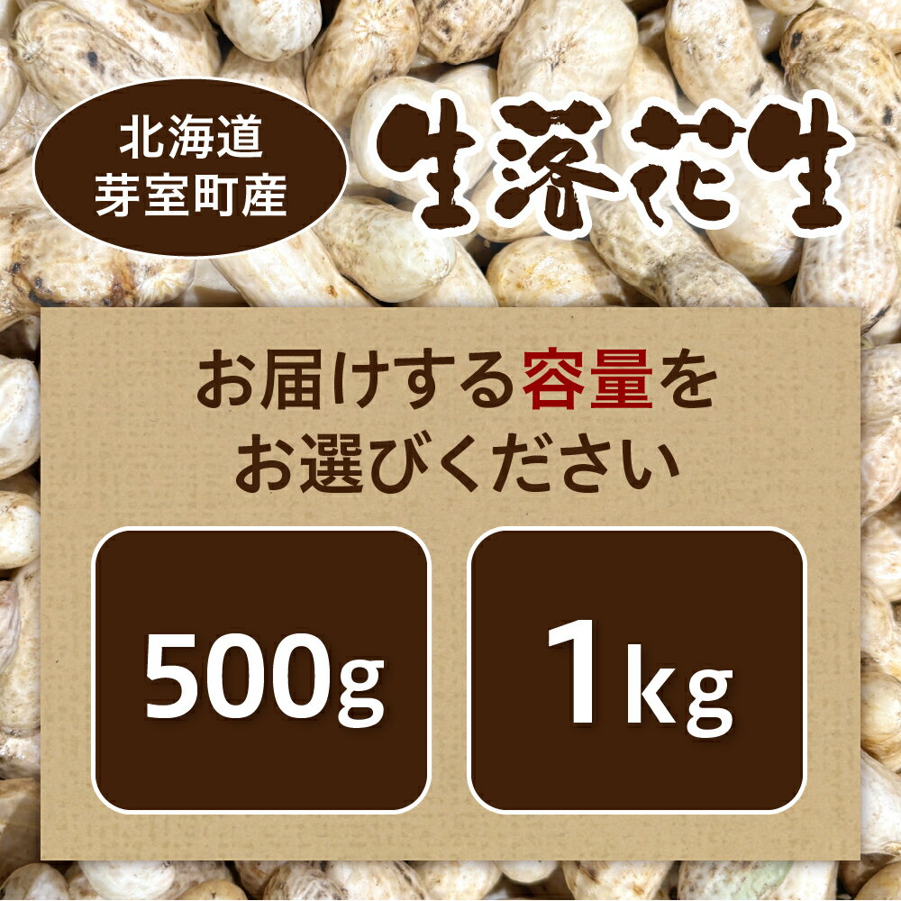 【ふるさと納税】【先行予約】生落花生（洗い）500g 1kg 内容量が選べる 落花生豆 ピーナッツ おつまみ おやつ 冷蔵便 送料無料 北海道 十勝 芽室町 - 画像3