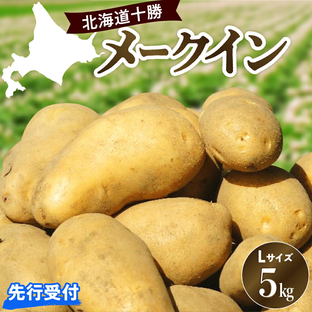 【先行受付】【2026年10月出荷分】十勝めむろ産「めむろメークイン」Lサイズ 5kg / 北海道産 国産 冷蔵 じゃがいも ジャガイモ 芋 いも イモ ポテト 5キロ 野菜 肉じゃが ポテトサラダ カレー BBQ お取り寄せ 北海道 十勝 芽室町