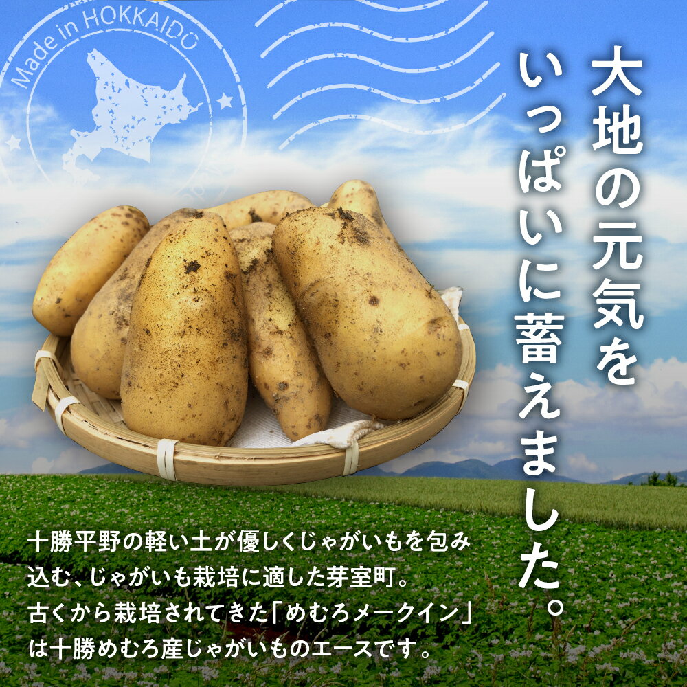 【ふるさと納税】【先行受付】【2026年10月出荷分】十勝めむろ産「めむろメークイン」Lサイズ 5kg / 北海道産 国産 冷蔵 じゃがいも ジャガイモ 芋 いも イモ ポテト 5キロ 野菜 肉じゃが ポテトサラダ カレー BBQ お取り寄せ 北海道 十勝 芽室町 - 画像3